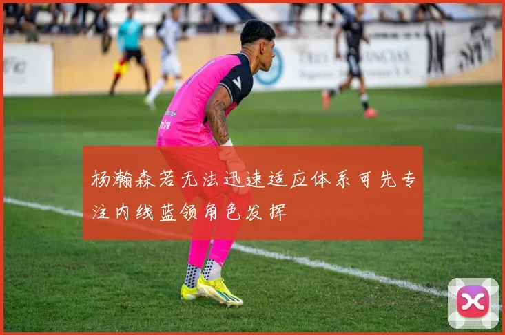 杨瀚森若无法迅速适应体系可先专注内线蓝领角色发挥