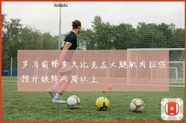 罗马前锋多夫比克左大腿肌肉拉伤预计缺阵两周以上
