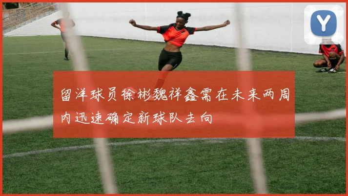 留洋球员徐彬魏祥鑫需在未来两周内迅速确定新球队去向