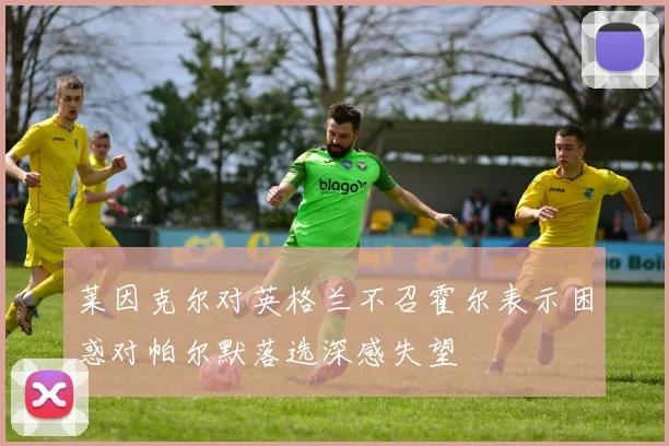 莱因克尔对英格兰不召霍尔表示困惑对帕尔默落选深感失望